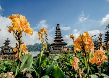 Gubernur Bali Wayan Koster membentuk portal satu pintu Pariwisata Bali yang diatur melalui Perda Nomor 5 Tahun 2020 tentang Standar Penyelenggaraan Kepariwisataan Budaya Bali.