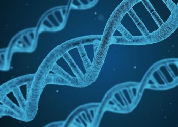 Sebuah studi baru menunjukkan bahwa DNA manusia dari nenek moyang misterius yang bahkan lebih tua dari yang dibayangkan.