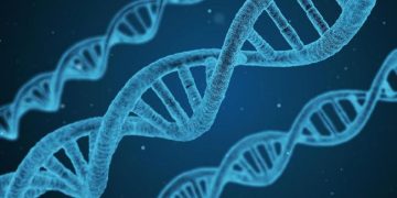 Sebuah studi baru menunjukkan bahwa DNA manusia dari nenek moyang misterius yang bahkan lebih tua dari yang dibayangkan.