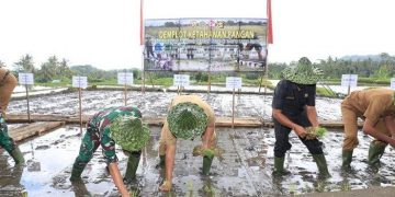Pangdam IX/Udayana Bersama Bupati Giayar Menanam Padi Bersama