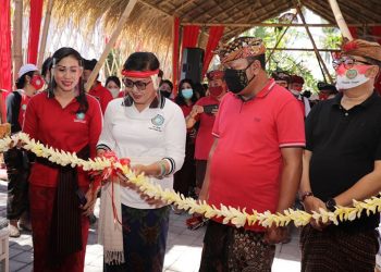 Ketua TP PKK Provinsi Bali  Resmikan Percontohan Taman Hatinya PKK