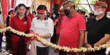 Ketua TP PKK Provinsi Bali  Resmikan Percontohan Taman Hatinya PKK
