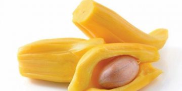 Manfaat Biji Nangka Bagi Kesehan Tubuh