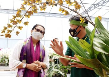 Ketua PKK Bali Apresiasi Lomba Anggrek dan Bursa Tanaman Hias
