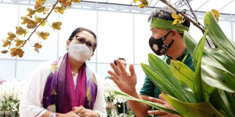 Ketua PKK Bali Apresiasi Lomba Anggrek dan Bursa Tanaman Hias
