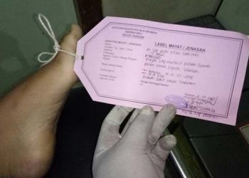 Hendak Mau Tengok Sapi, Salahsatu Warga Petang Di Kagetkan Sesosok Mayat