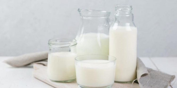 Kaya Akan Nutrisi, Yuk Kenali Manfaat Susu Kambing Bagi Tubuh