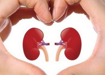 Berikut Ini Beberapa Jenis Makanan Untuk Kesehatan Ginjal