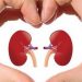 Berikut Ini Beberapa Jenis Makanan Untuk Kesehatan Ginjal