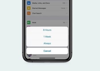 5 Fitur Baru Whatsapp Yang Rilis Di tahun 2020 Dan Cara Mengoprasikan
