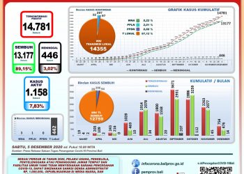 Update Covid-19 di Bali, Kasus Sembuh Bertambah 91, Kasus Sembuh Bertambah 135 Orang