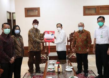 Terima Kunjungan Kerja DJSN, Gubernur Bali Beri Beberapa Masukan Tentang Jaminan Sosial
