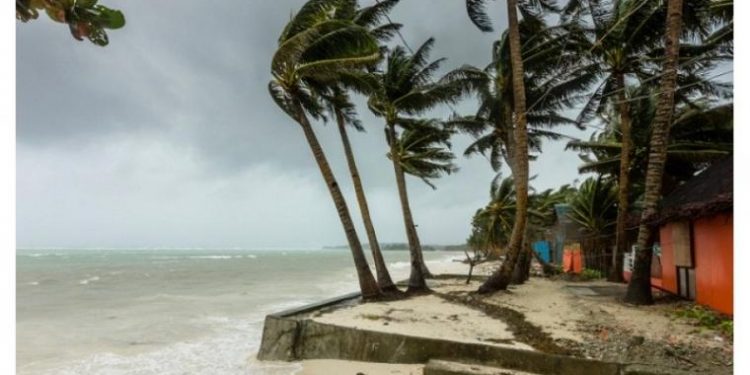BPBD Denpasar Himbau Masyarakat Untuk Waspada Angin Kencang