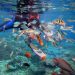 Buat Kamu Pecinta Snorkeling, ini dia 4 Wisata Bawah Laut Di Bali