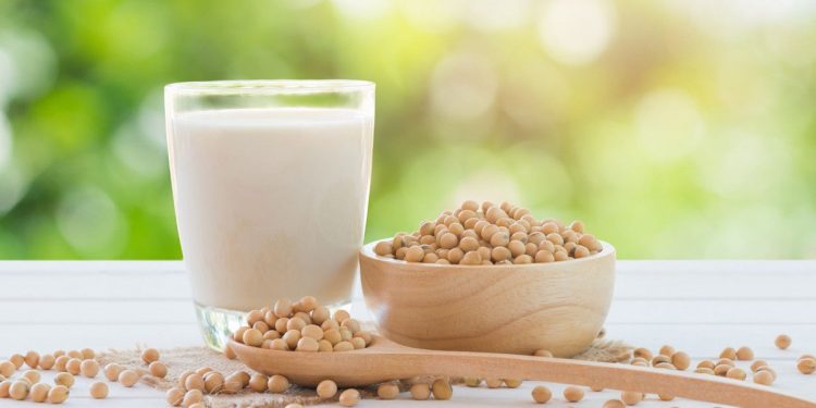 Kaya Akan Protein, Yuk Intip ! Resep Membuat Susu Kedelai Murni