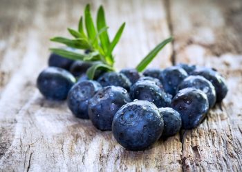 Menyimpan Banyak Manfaat, Yuk Intip! Manfaat Konsumsi Blueberry