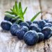 Menyimpan Banyak Manfaat, Yuk Intip! Manfaat Konsumsi Blueberry
