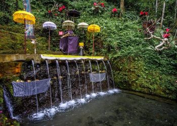 Pancoran Solas  : 11 Pancoran Bisa Sembuhkan penyakit Krisis