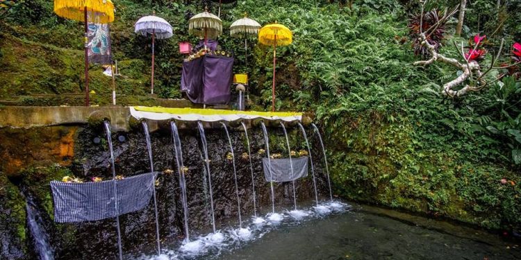 Pancoran Solas  : 11 Pancoran Bisa Sembuhkan penyakit Krisis