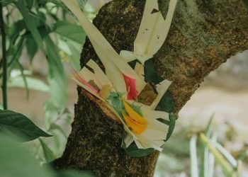 Tumpek Wariga,Wujud Nyata Umat Hindu Jaga Keseimbangan Alam