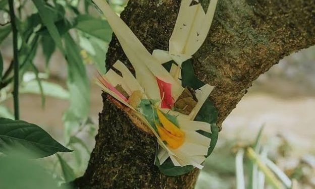 Tumpek Wariga,Wujud Nyata Umat Hindu Jaga Keseimbangan Alam