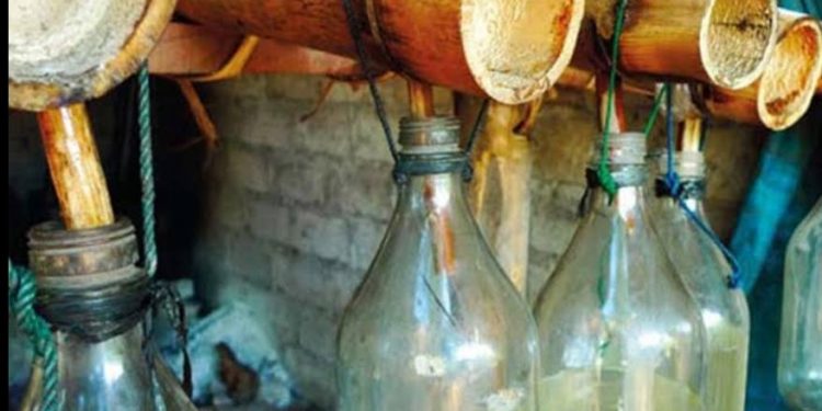 Gubernur Koster Sebut Arak Bali Sebagai Obat Tradisional, Upakara & Jamuan Tamu Kehormatan