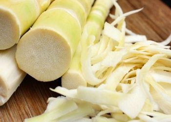 Rebung,Si Tunas bambu Dengan Berbagai Khasiat Bagi Kesehatan Tubuh