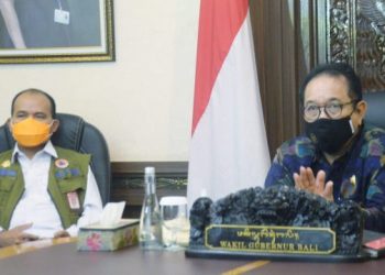 Wagub Bali, Cok Ace Ikuti Pembukaan Rakornas Penanggulangan Bencana 2021