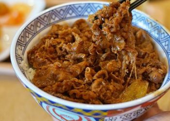 Praktis & Simple, Berikut Ini Resep Beef Bowl ala Yoshinoya