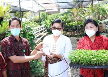 Agar Tetap Bersaing Di Pasaran, Ny Putri Koster Harap BPTP Bali Terus Kembangkan Hasil Pertanian Bali