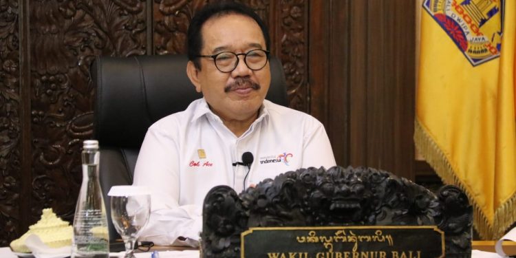 Wagub Cok Ace Ajak BPPD Se-Indonesia Bersinergi Untuk Pulihkan Pariwisata