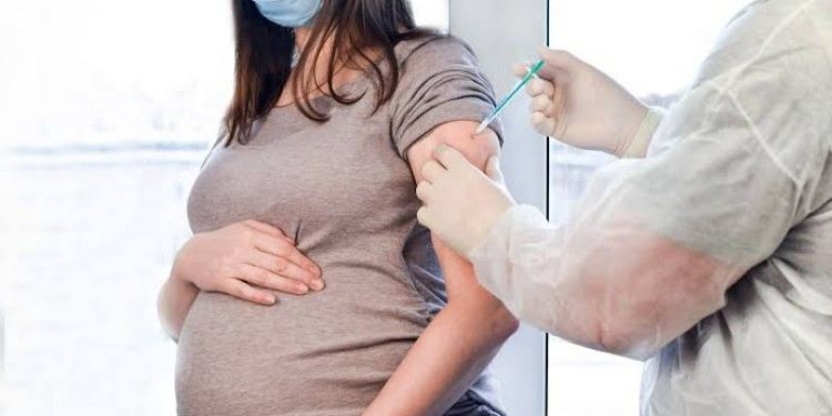 Yuk Cari Tahu, 4 Fakta Vaksinasi Covid 19 Bagi Ibu Hamil Di Indonesia