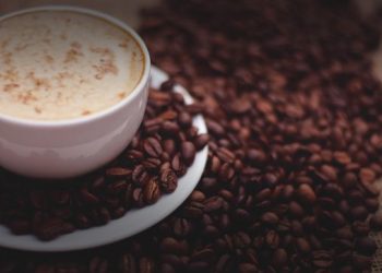 Bersiaplah Minum Camelccinos dan Camelattes dari Kenya