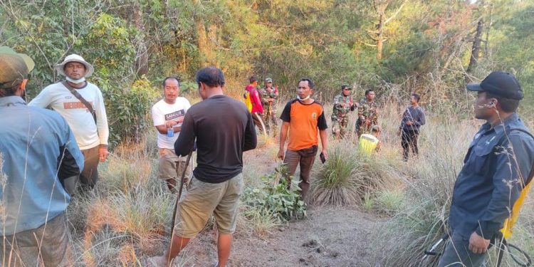 Kebakaran Lahan dan Semak Gunung Batur Bangli Berhasil Dipadamkan