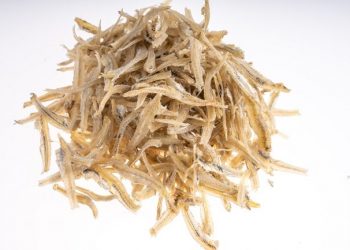 Ini Dia 3 Resep Olahan Praktis Berbahan Ikan Teri