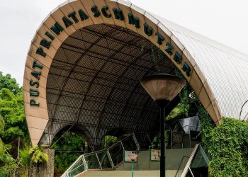 Syarat Wisata ke Kebun Binatang Ragunan yang Tetap Buka Saat Nataru