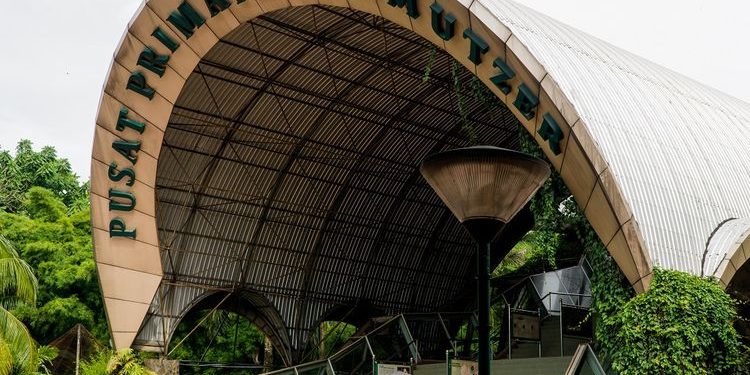 Syarat Wisata ke Kebun Binatang Ragunan yang Tetap Buka Saat Nataru