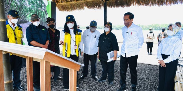 Presiden: Hutan Mangrove Bentuk Komitmen Indonesia dalam Perubahan Iklim