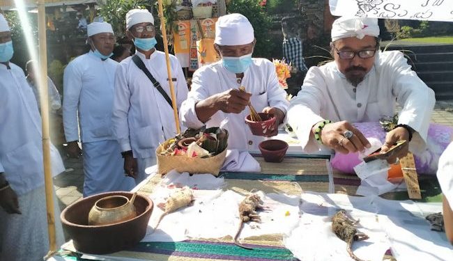 Ngaben Bikul Atau Ngaben Tikus, Tradisi Desa Adat Bedha Tabanan
