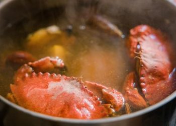 Kenali 7 Manfaat Kepiting, Salah Satunya Jaga Kesehatan Otak