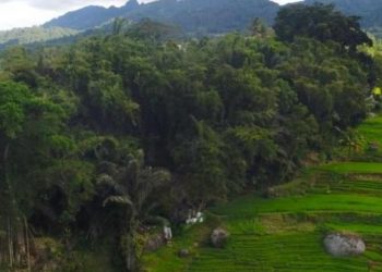 Jelajah Desa Wisata Kole Sawangan, Ada Kuburan Batu Berusia Ratusan Tahun