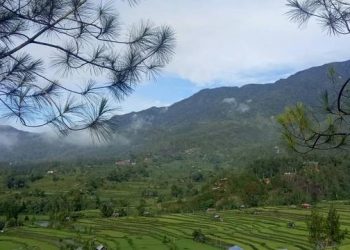 Cantiknya Alam Desa Wisata Tondok Bakaru di Kaki Gunung Mambuliling