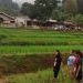Belajar Menanam Padi di Desa Wisata Cilember