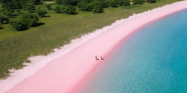 Selain Cantik, Pantai Pink Lombok Menyimpan Keindahan yang Unik
