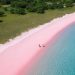 Selain Cantik, Pantai Pink Lombok Menyimpan Keindahan yang Unik
