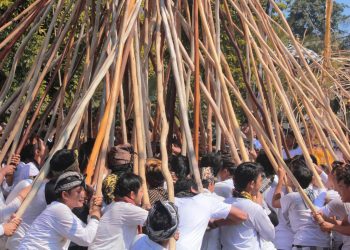Mekotek, Tradisi Turun Temurun di Desa Munggu, Badung