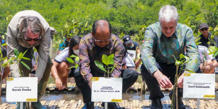Gubernur Koster Dampingi Menteri Energi, Iklim dan Lingkungan Inggris serta Menteri LHK RI Tanam Mangrove di Simbar Segara
