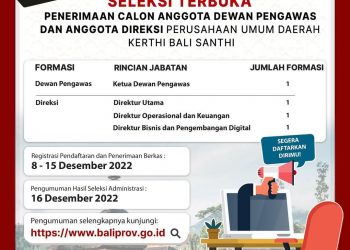 Pemprov Bali Dirikan Perumda Khusus Kepariwisataan Digital