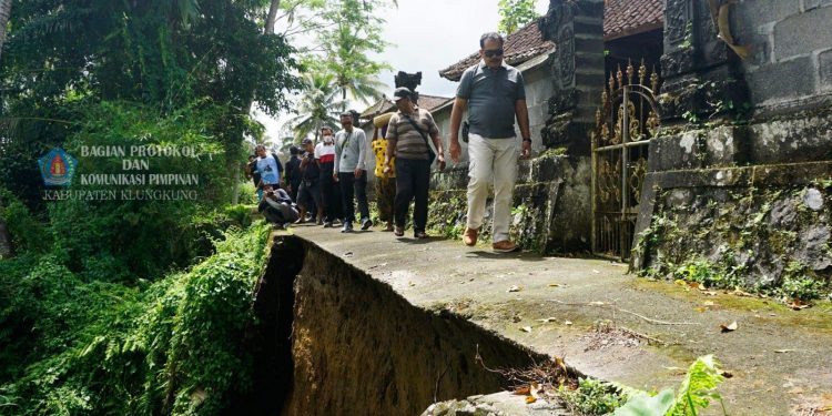 Senderan Irigrasi Subak Gombeng Kelod Nyalian Jebol, 8 Hektar Teramcam Krisis Air