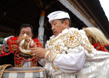UU Provinsi Bali Disahkan, Wagub Cok Ace Nilai Pemerintah Pusat Akui Potensi Budaya Bali